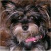 Lila