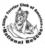 silky terrier club of america rescue program