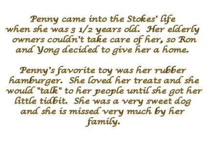 penny story