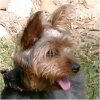 Walter