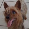 Zoe